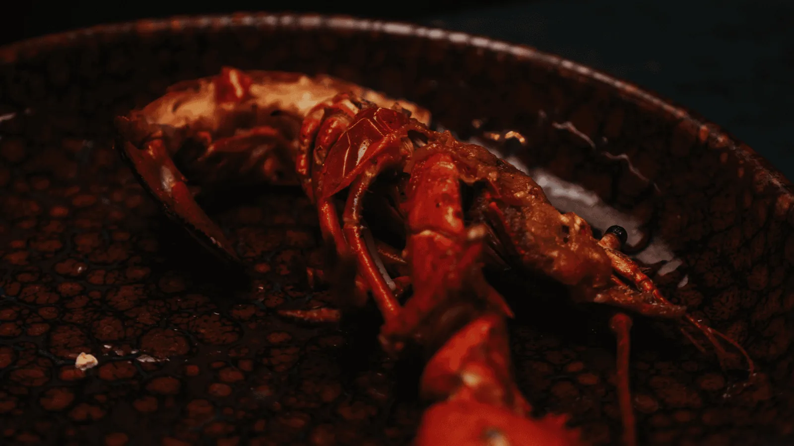 Homard
