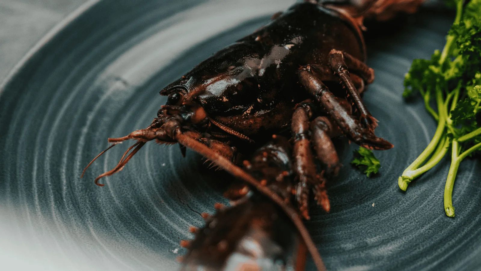 Langoustines grillées